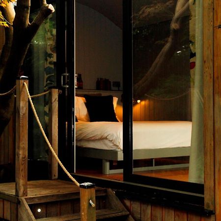 Victorian House Bed & Breakfast Grasmere Rom bilde